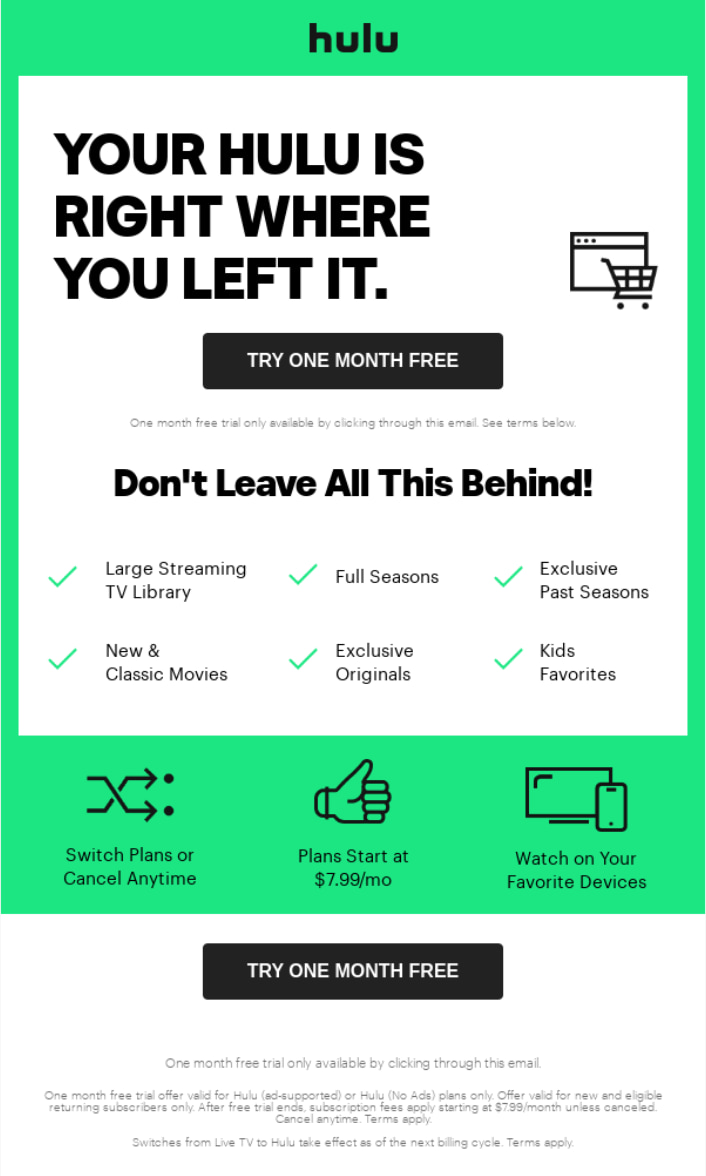 Example of a great abandoned cart email.